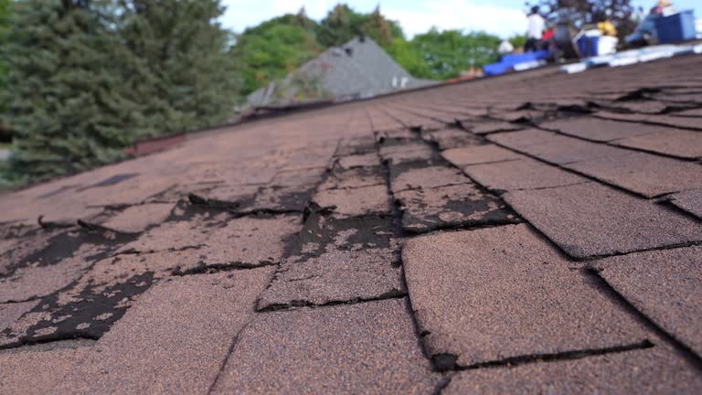 Best Roof Insulation Installation  in Sleepy Hollow, IL