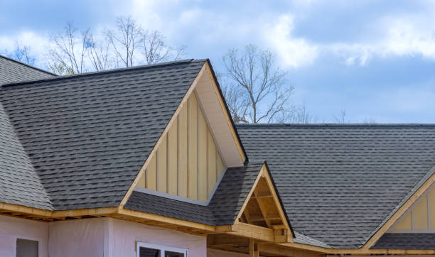 Best Solar Panel Roofing Installation  in Sleepy Hollow, IL