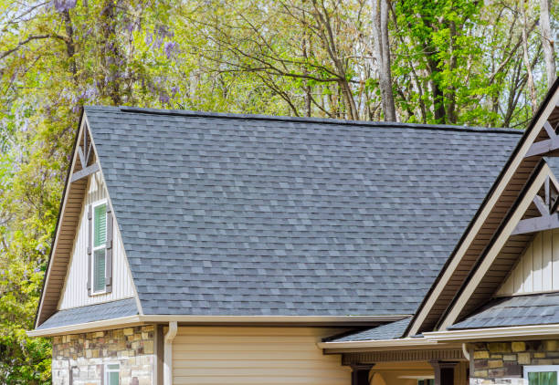 Best Rubber Roofing (EPDM, TPO)  in Sleepy Hollow, IL